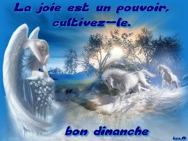 bon dimanche