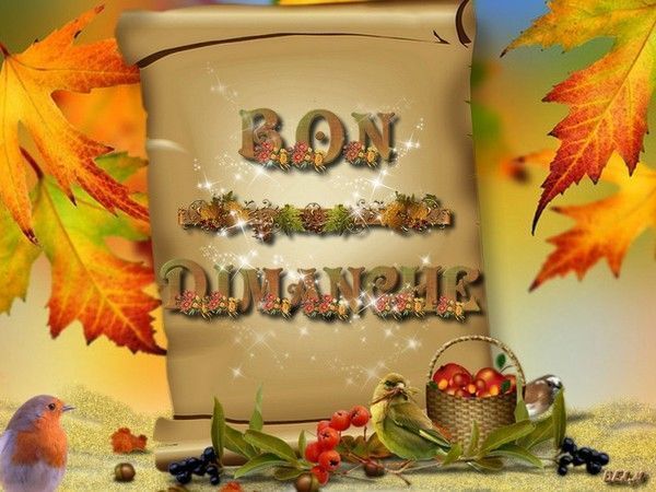 bon dimanche