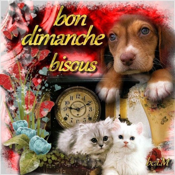 bon dimanche